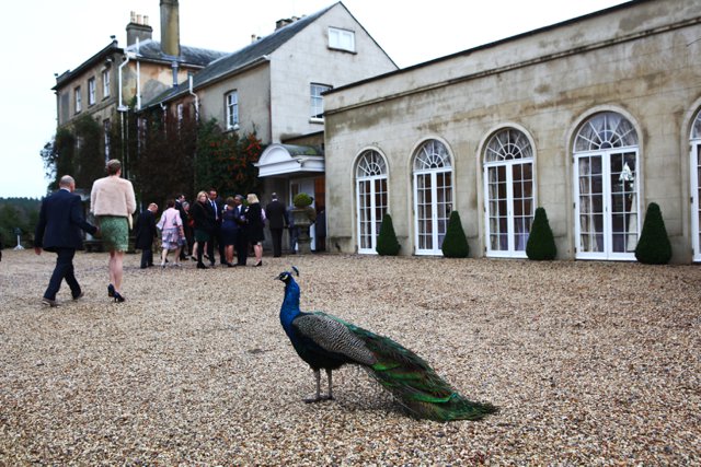 Northbrook Park Wedding Jacaranda Catering Damian Bailey Photography_0002