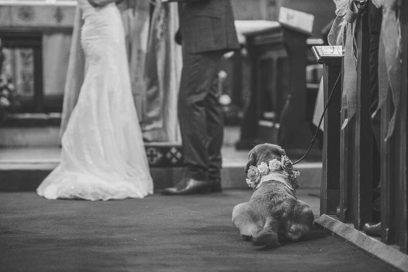 33898027_10156528474744432_5947791958427566080_n