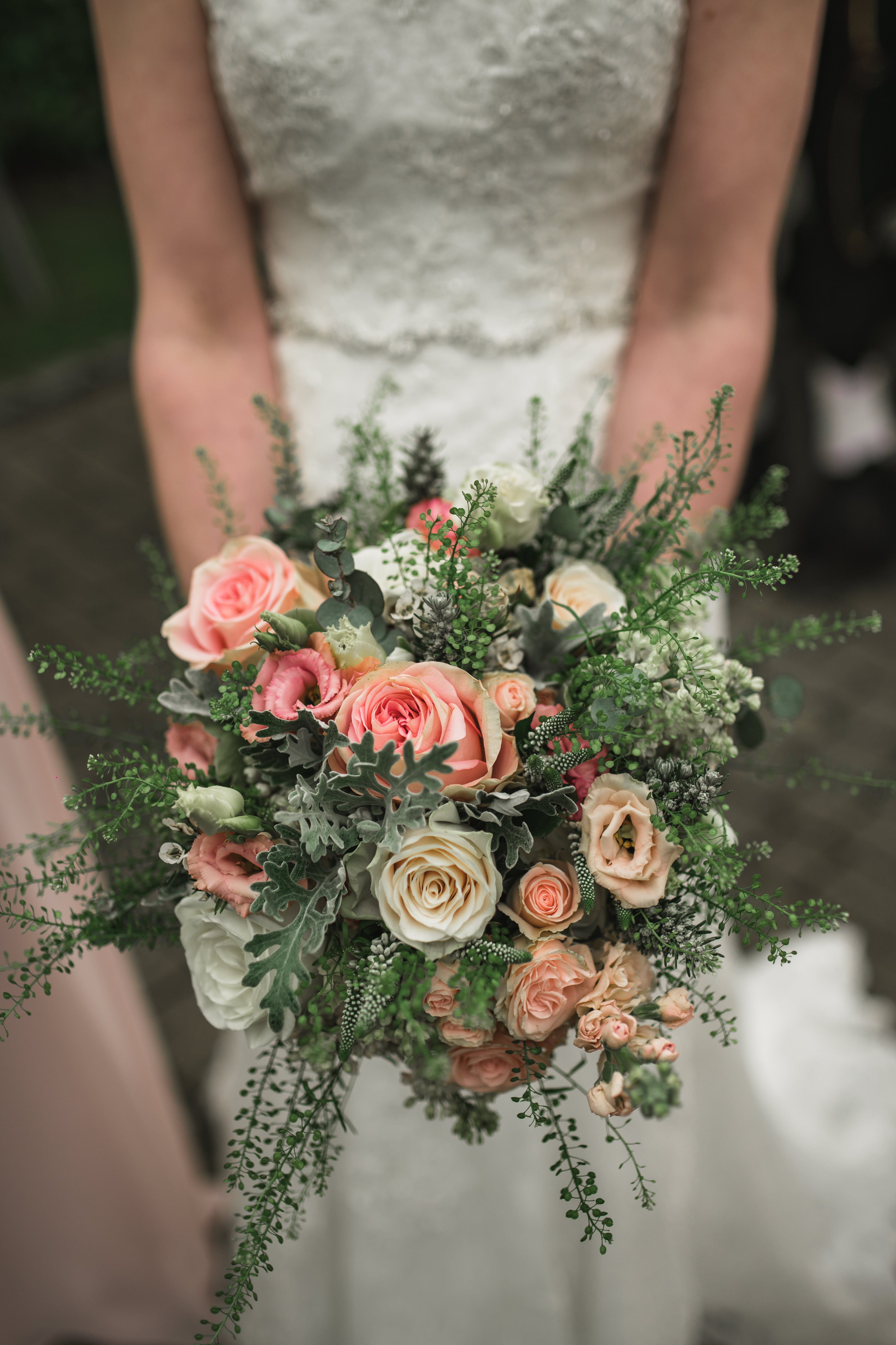 Photos (426 of 1970)