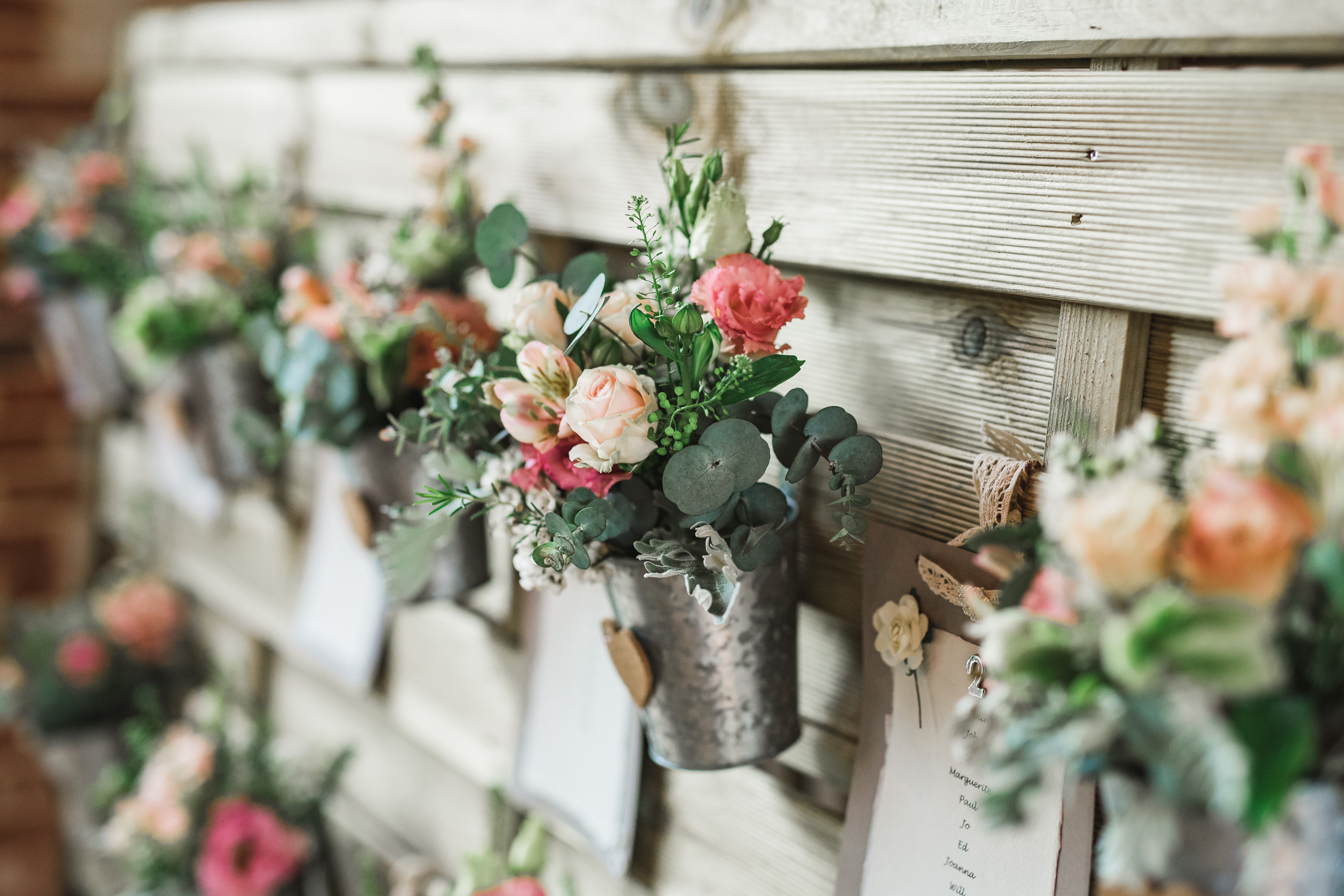 Photos (728 of 1970)